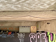 IMG-3175