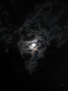 BulgariaTek After Party 2011 (129)