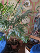 AGC-20240529-090231434