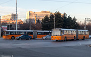 IMG-3603