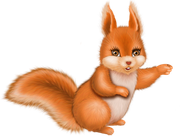 Christmas-in-Forest10