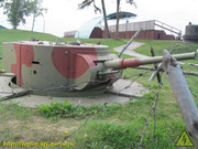 IMG-3619