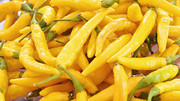 yellow-chillies3