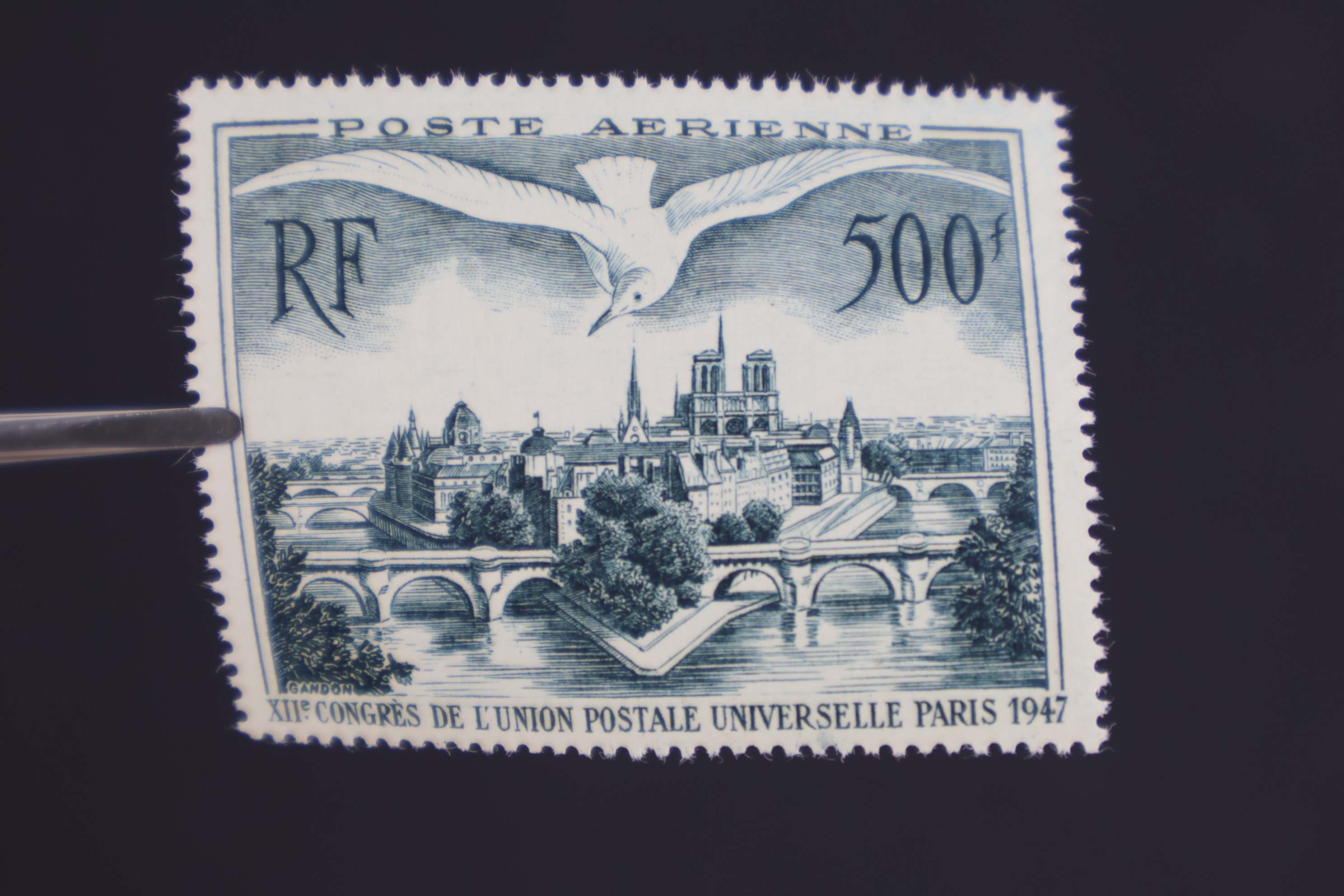 IMG-1585