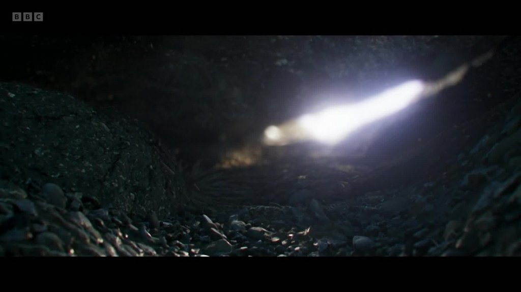 [Image: 2vfdogt9mo60.jpg]