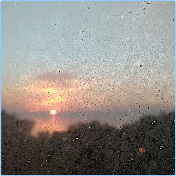 [Image: 9g5n3s8lewel.png]