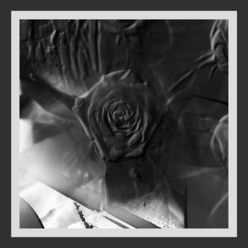 Ital-Tek-Mind-Abandon-ZIQ485-24BIT-WEB-F
