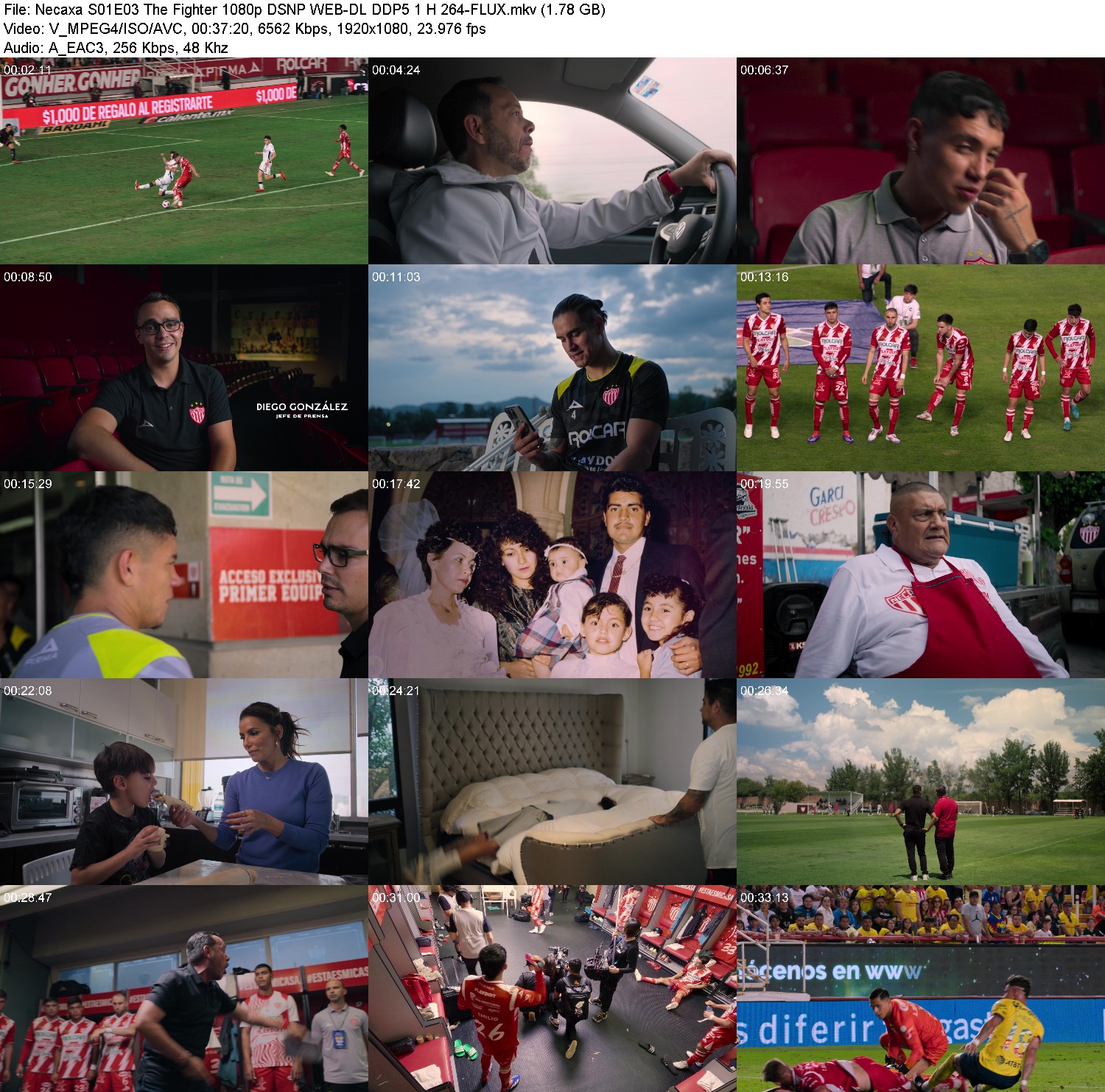 [Image: 0vbhx6zmkw60.jpg]