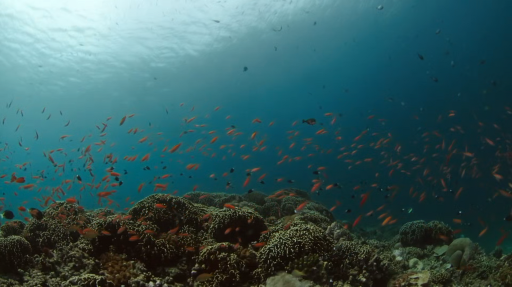 [Image: bes30a3z4ald.png]