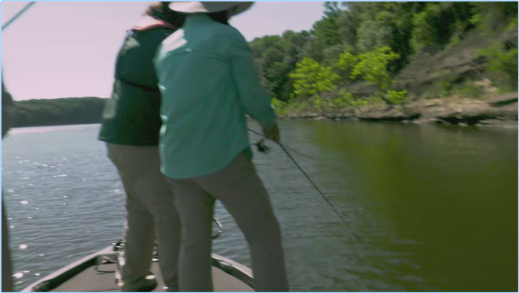 [Image: xil24s8rt7sv.png]