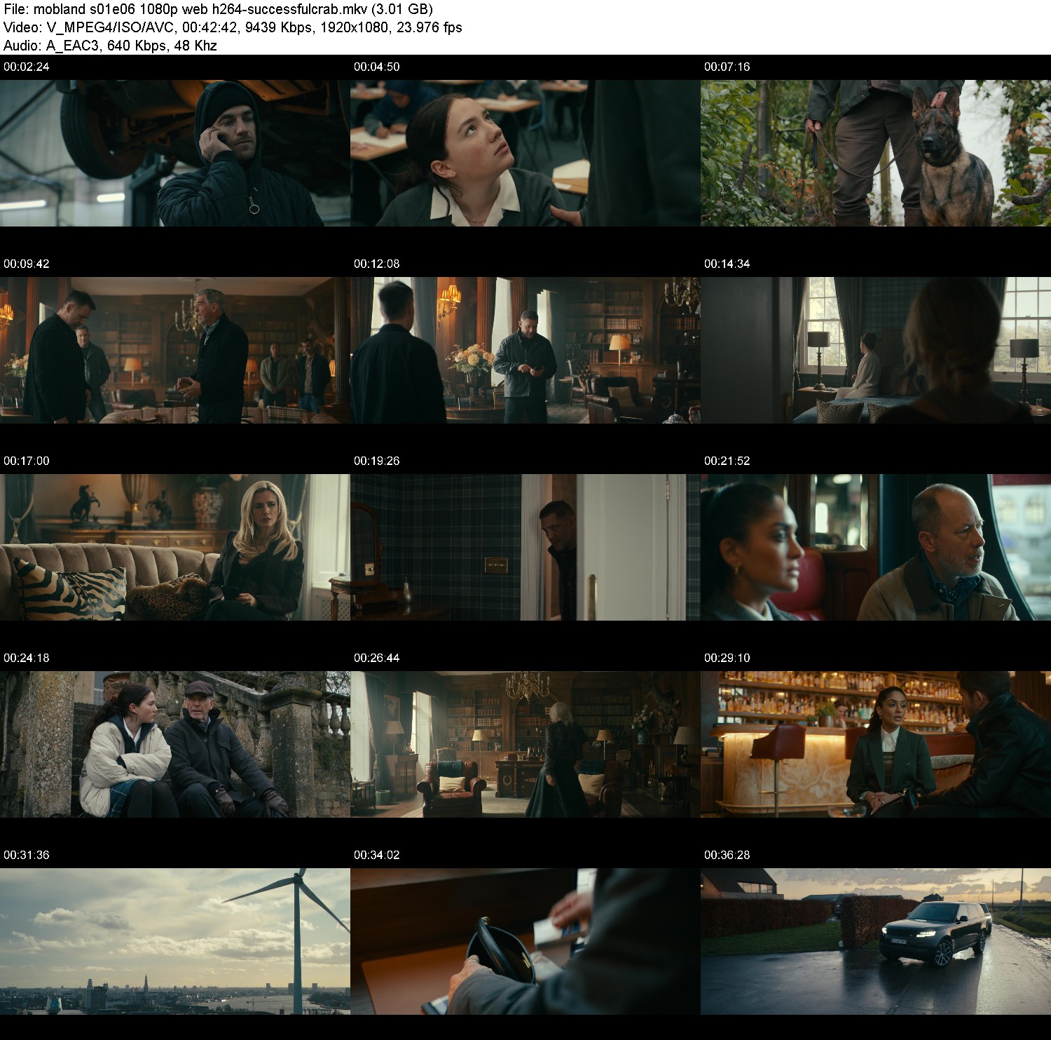 [Image: d9tde6zf9v9i.jpg]