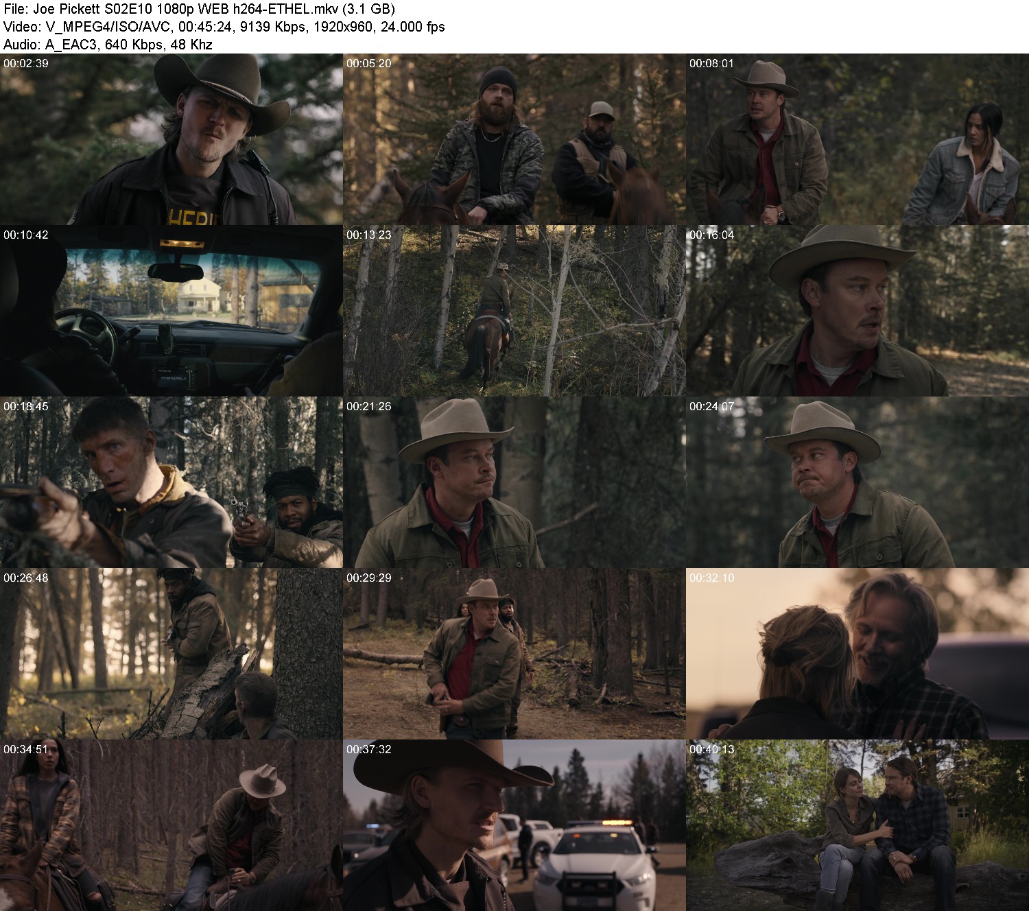 [Image: phvxc2a8s64r.jpg]