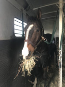 9B2E5BDC-33C8-4655-943D-0043D77BAD1B