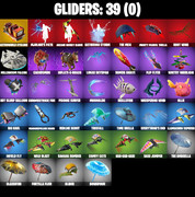 gliders-comp