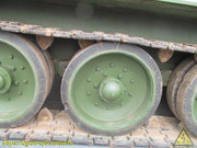 IMG-6330