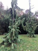 IMG-20191003-115104
