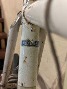 PXL_20221126_160845567