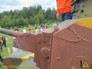 IMG-6644
