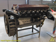 DSCN5472