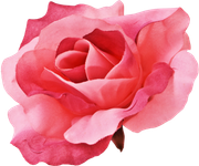 BIBI-PINK-ANGEL-ELEMS-44