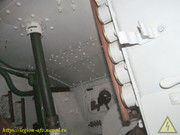 IMG-6872