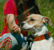 Screenshot_20230627_233917_Gallery