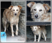 Be-Funky-collage-20.jpg&key=9de6e3a245d7