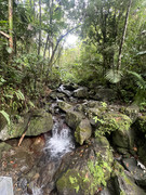 IMG-8478