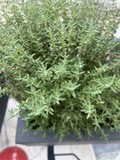 5B2E070B-8831-4C83-AF9E-809B2740F856