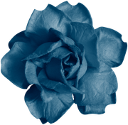 BC-ATaste-Of-Winter-El-19