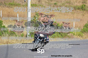 IMG-2965