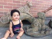 Enhle-Mgcwaba