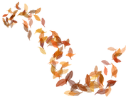 TADD_elements_Autumn_Fairy_Tales_71