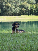 IMG-6296