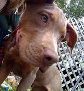 IMG_20220701_153248320