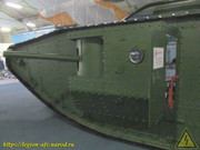 IMG-6833