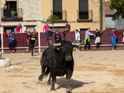 IMG-0018