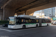 IMG-5247