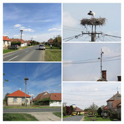Kép