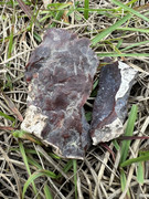 62782BAA-D2D2-45A7-80F8-87EE49BA144A