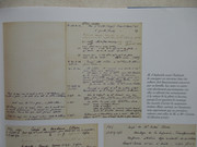 IMG-3154.jpg