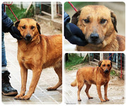 Be-Funky-collage-19.jpg&key=c525648b78f4