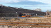 IMG-5423