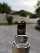 37284686_10211813772640479_7524648493453934592_n