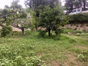 4792D147-7D60-488D-8FBC-4A579682A738