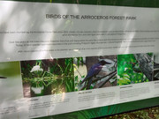 Arroceros-Forest-Park-Manila-Bagras20260715-142304