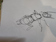 IMG-20240228-132208891