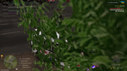 mta-screen-2026-07-18-18-09-28