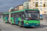 IMG-5069