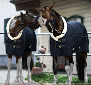 dh1vvby-d455536a-15f3-4d3b-9a96-098094ac-20240822021803